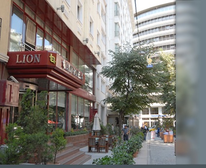 LION HOTEL