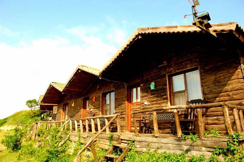 WOODYVILLE TREE HOUSES AND COWBOY CITY