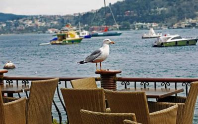 BEBEK HOTEL
