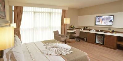 BLUE REGENCY HOTEL