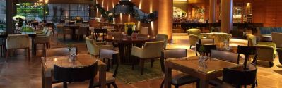 CEYLAN INTERCONTINENTAL HOTEL