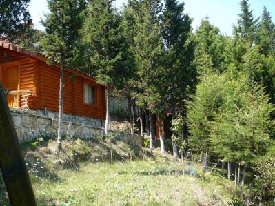 FOREST LODGE ORMAN EVLERİ
