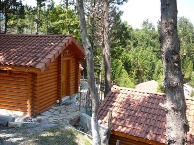 FOREST LODGE ORMAN EVLERİ