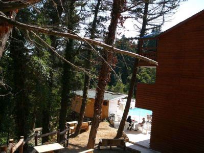 FOREST LODGE ORMAN EVLERİ