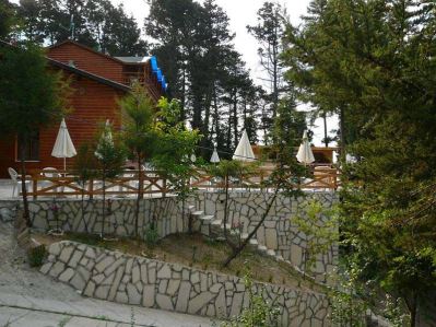 FOREST LODGE ORMAN EVLERİ
