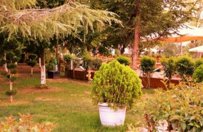 AGVA CLUB GRAND BECASSIER