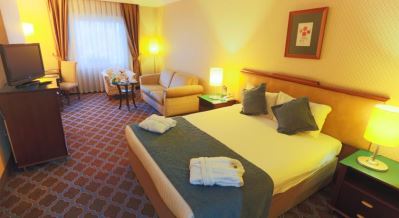 THE GREEN PARK HOTEL MERTER
