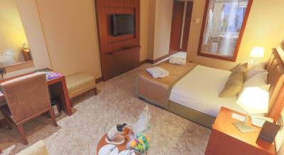 THE GREEN PARK HOTEL MERTER