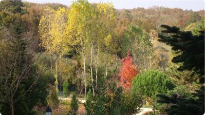 CASA LAVANDA BOUTIQUE HOTEL