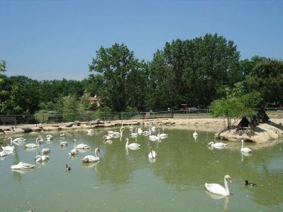 POLONEZKÖY COUNTRY CLUB