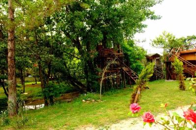 WOODYVILLE TREE HOUSES AND COWBOY CITY