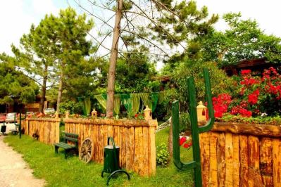 WOODYVILLE TREE HOUSES AND COWBOY CITY