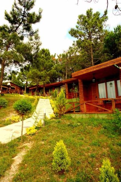 WOODYVILLE TREE HOUSES AND COWBOY CITY