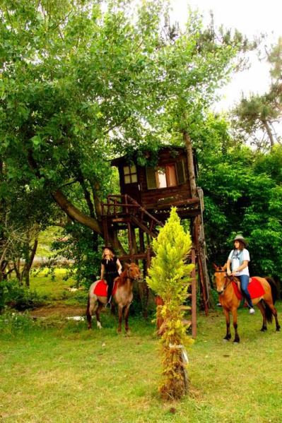 WOODYVILLE TREE HOUSES AND COWBOY CITY