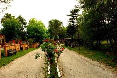 WOODYVILLE TREE HOUSES AND COWBOY CITY