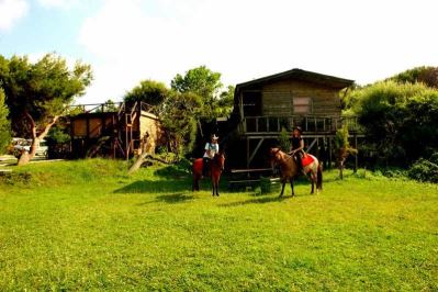 WOODYVILLE TREE HOUSES AND COWBOY CITY