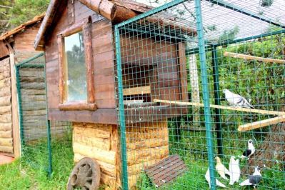 WOODYVILLE TREE HOUSES AND COWBOY CITY