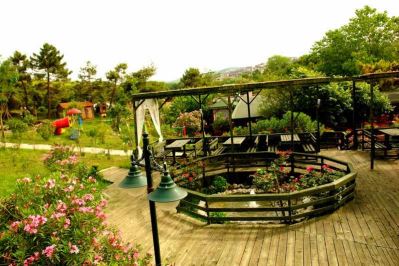 WOODYVILLE TREE HOUSES AND COWBOY CITY