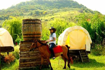 WOODYVILLE TREE HOUSES AND COWBOY CITY