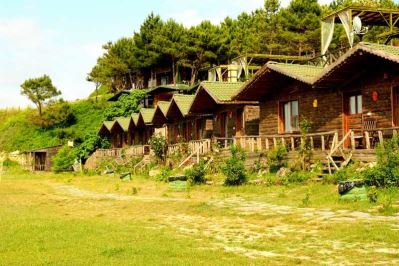 WOODYVILLE TREE HOUSES AND COWBOY CITY