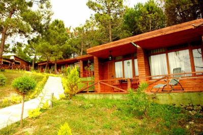 WOODYVILLE TREE HOUSES AND COWBOY CITY