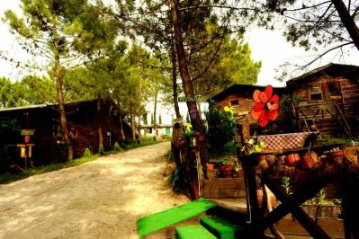 WOODYVILLE TREE HOUSES AND COWBOY CITY